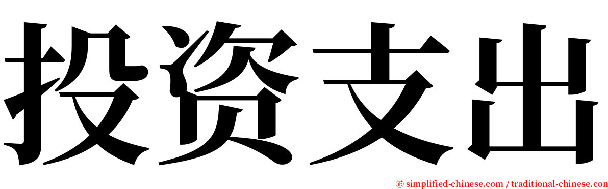 投资支出 serif font