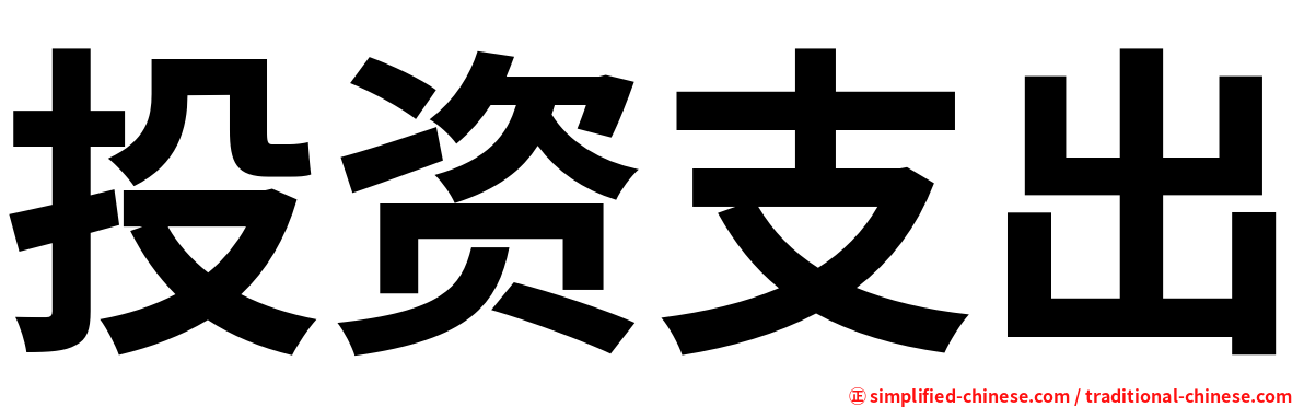 投资支出