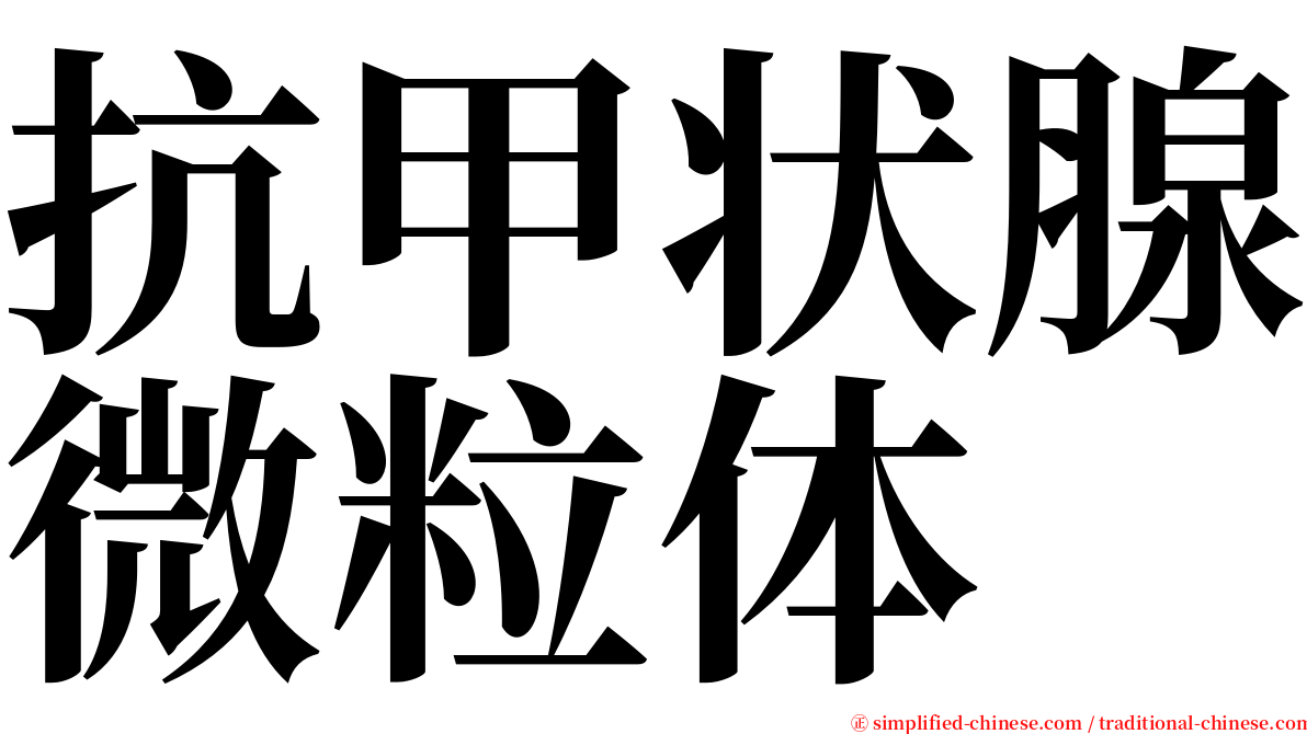 抗甲状腺微粒体 serif font
