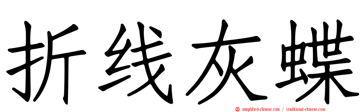 折线灰蝶