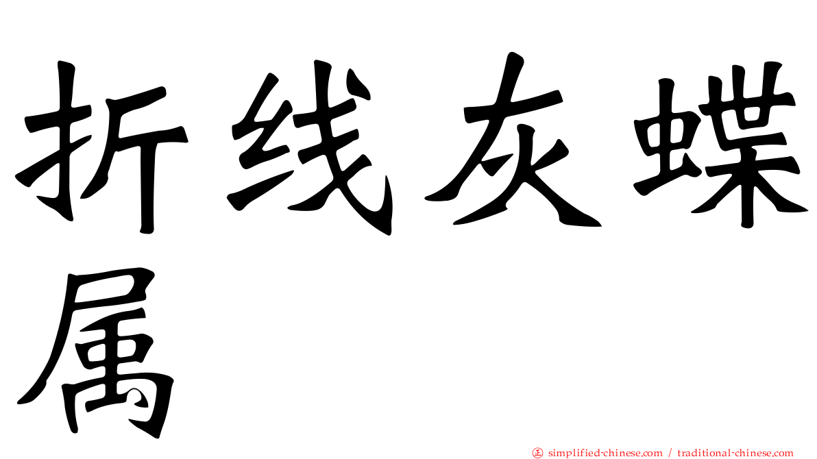 折线灰蝶属