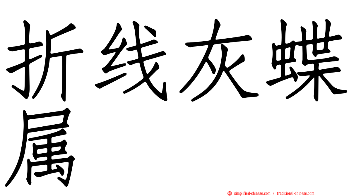 折线灰蝶属