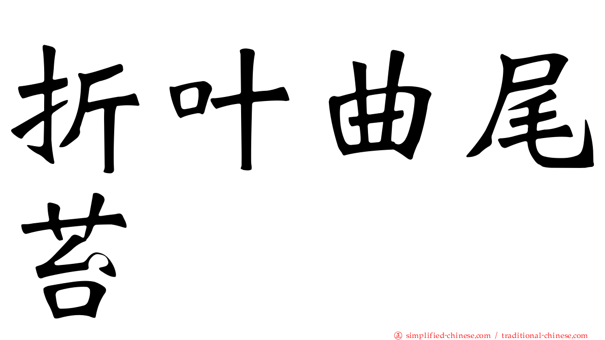 折叶曲尾苔