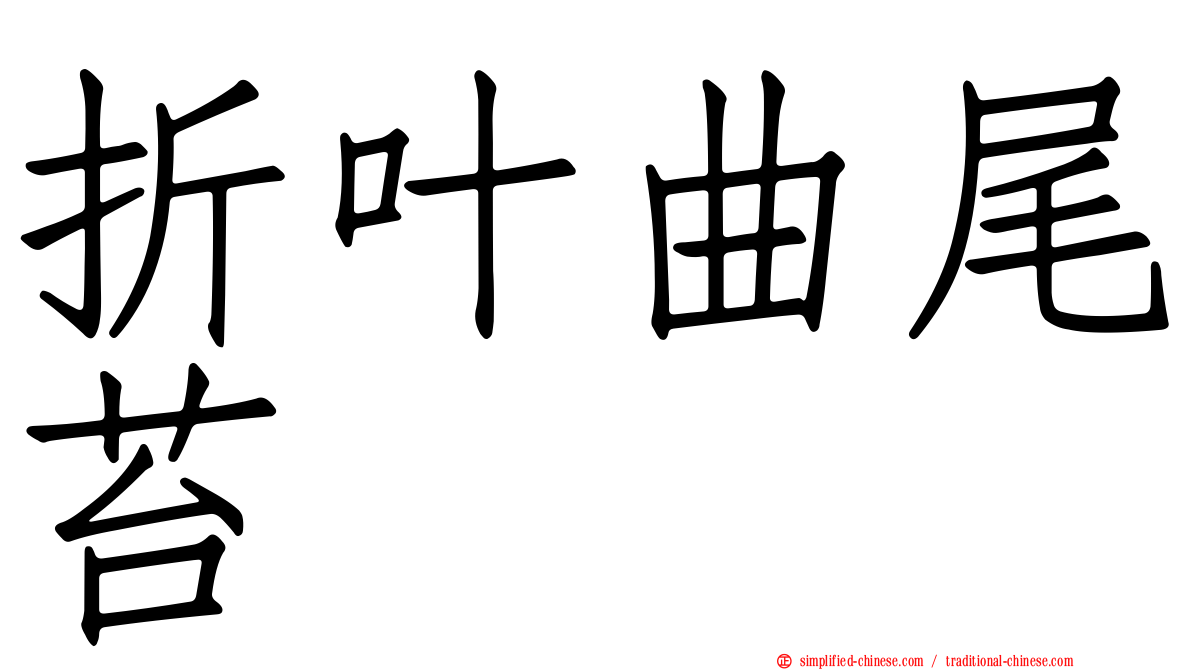 折叶曲尾苔
