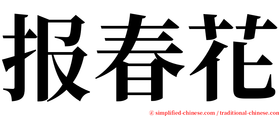 报春花 serif font