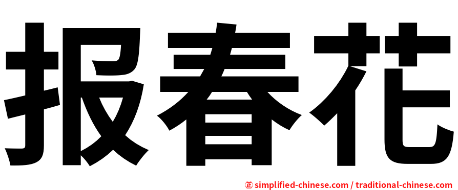 报春花
