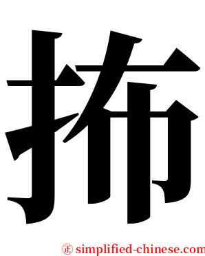 抪 serif font