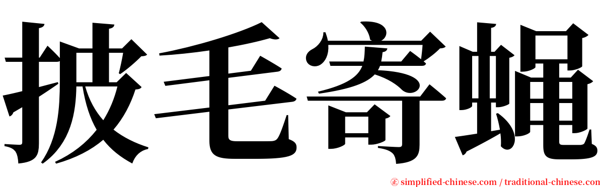 披毛寄蝇 serif font