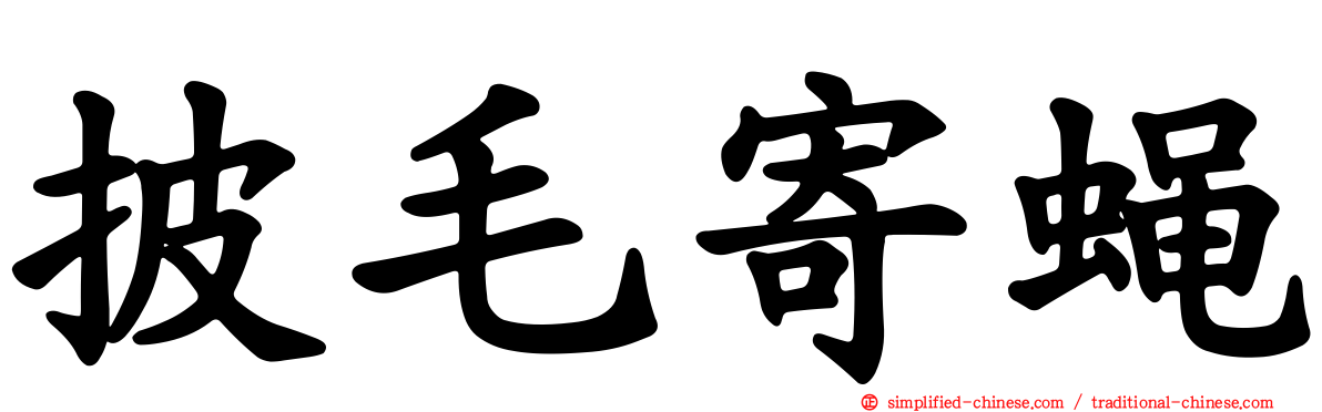披毛寄蝇
