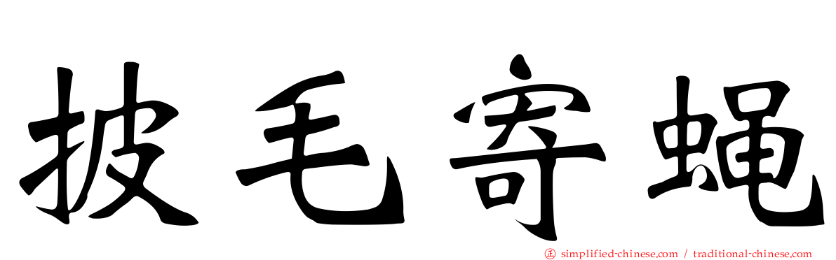 披毛寄蝇