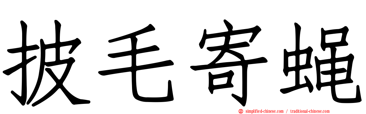 披毛寄蝇