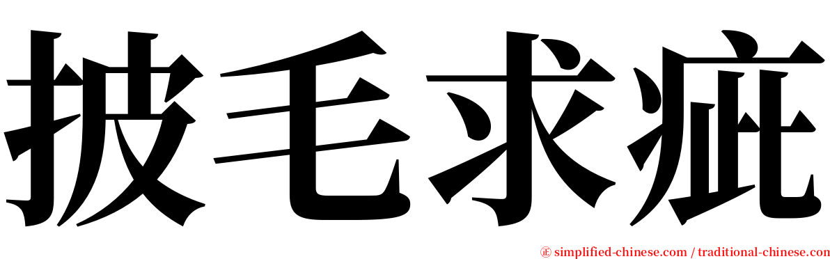 披毛求疵 serif font