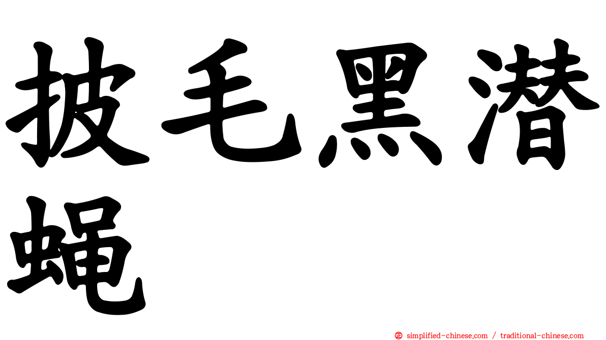 披毛黑潜蝇