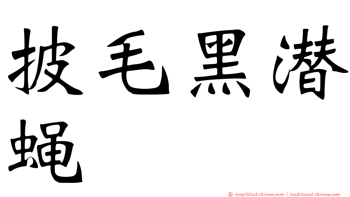 披毛黑潜蝇