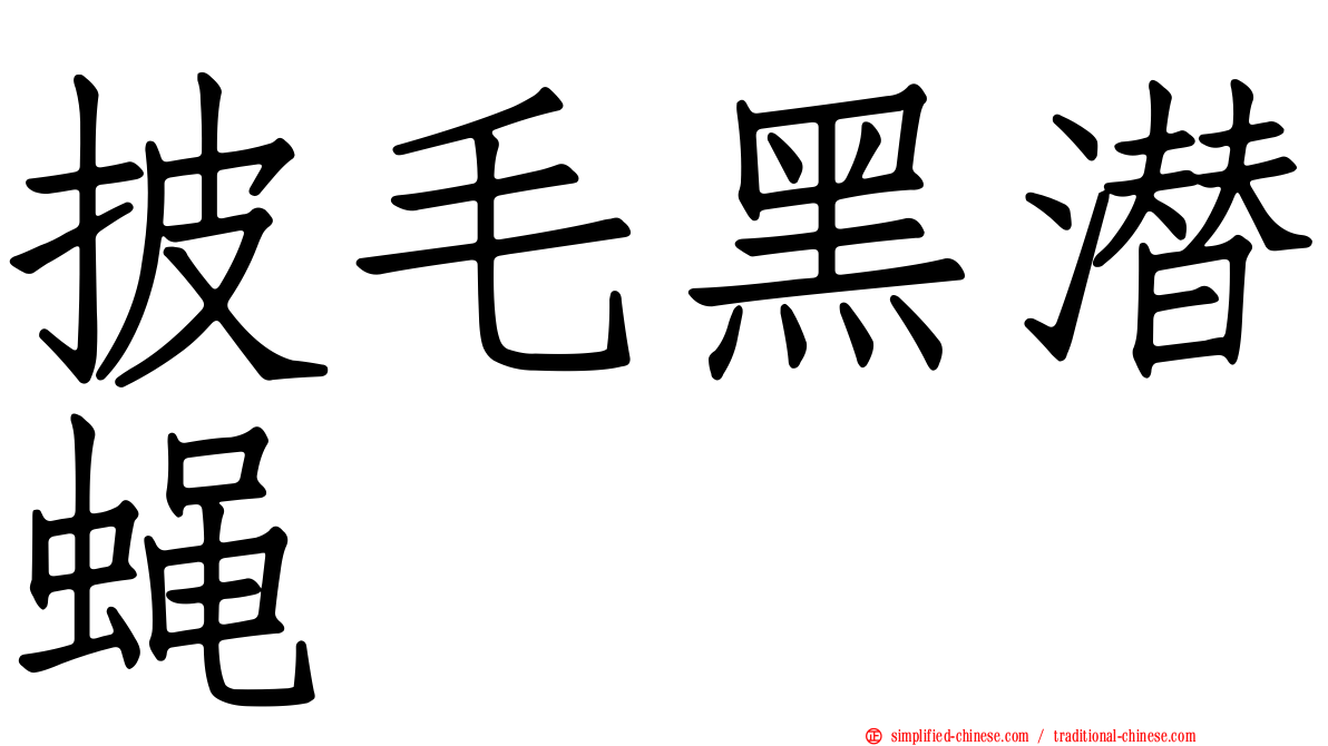 披毛黑潜蝇