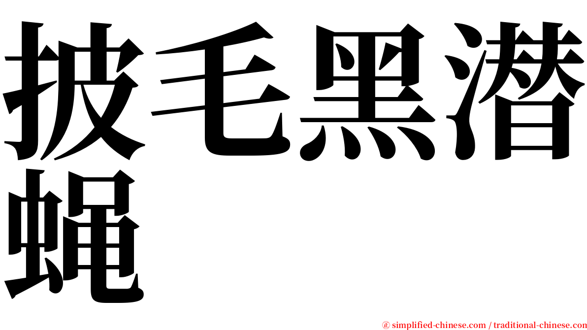 披毛黑潜蝇 serif font