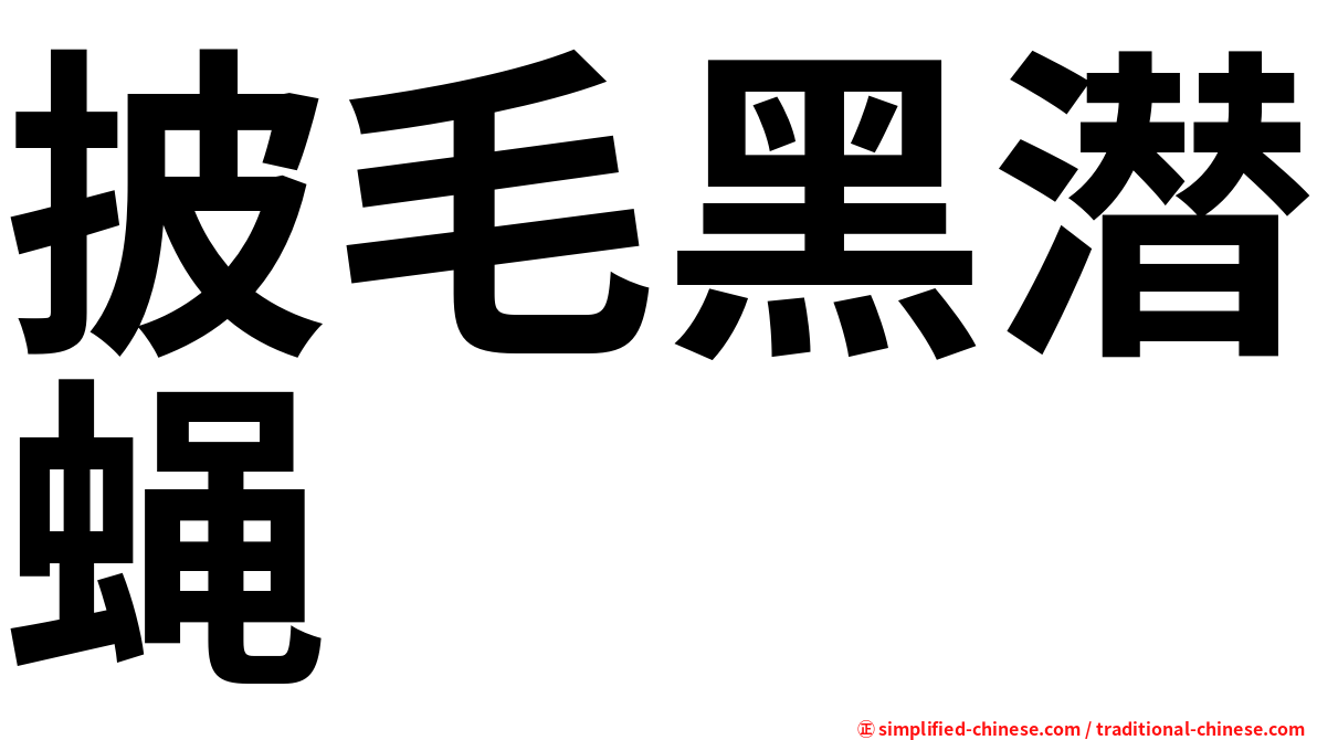 披毛黑潜蝇