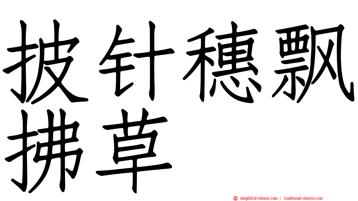 披针穗飘拂草