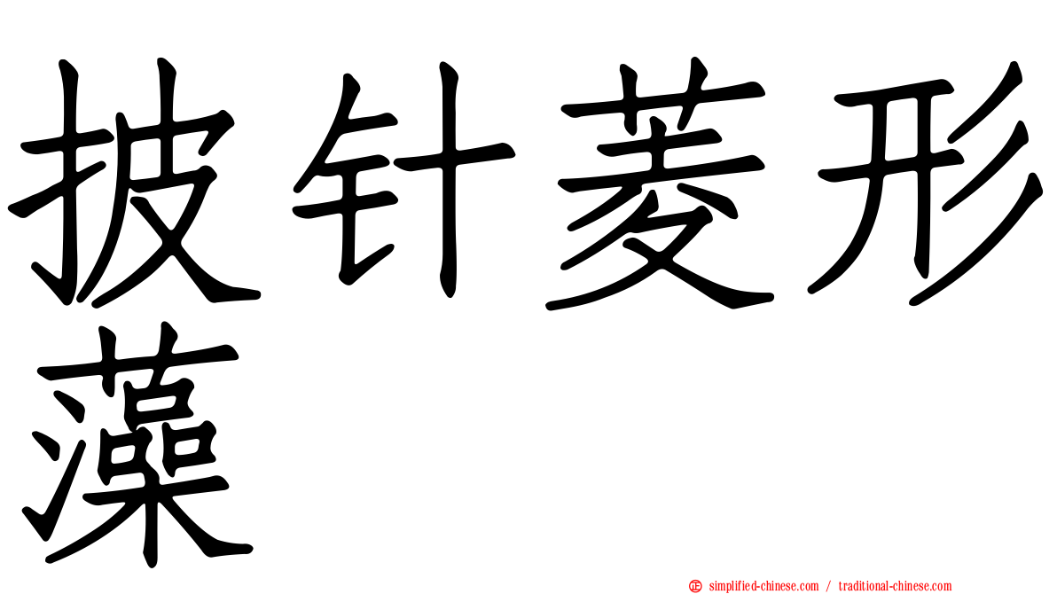 披针菱形藻