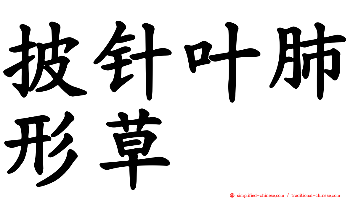 披针叶肺形草