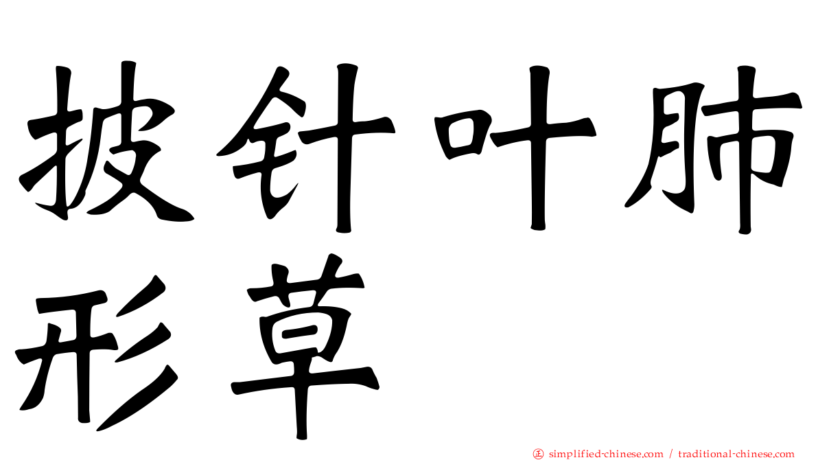 披针叶肺形草