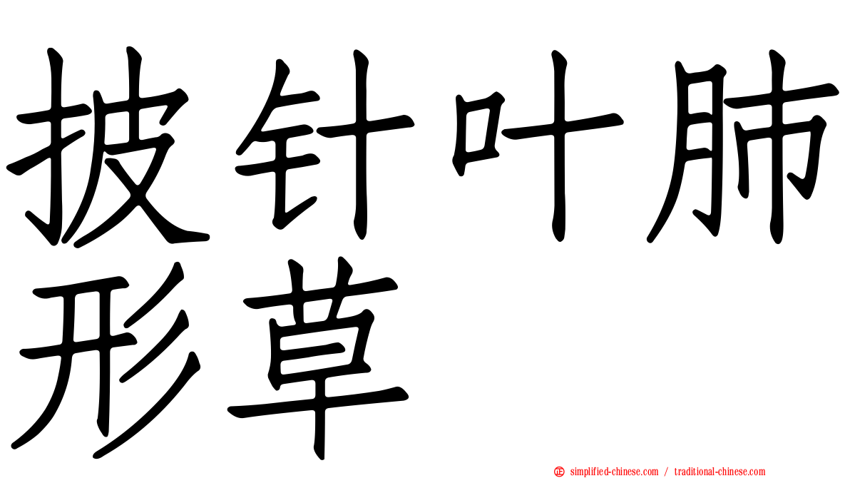 披针叶肺形草
