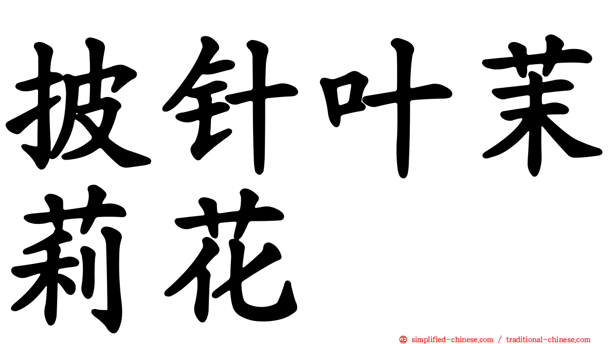 披针叶茉莉花