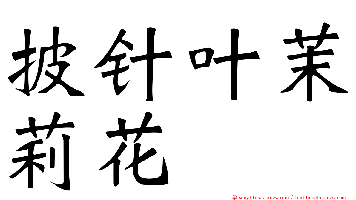 披针叶茉莉花