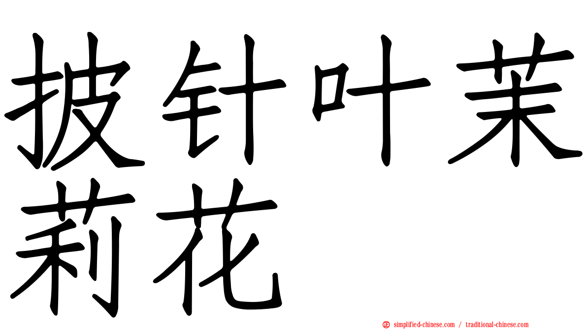 披针叶茉莉花