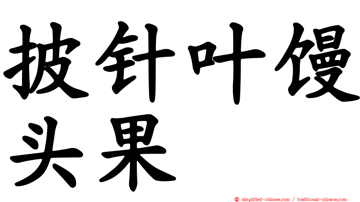 披针叶馒头果
