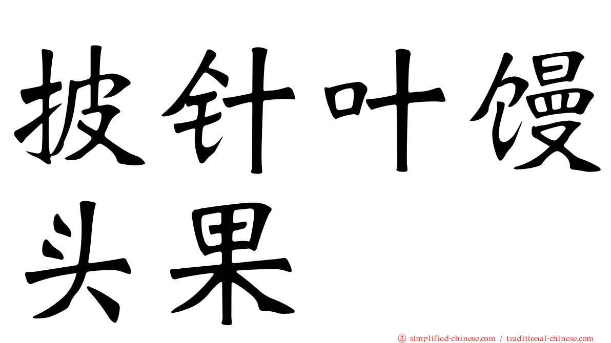 披针叶馒头果