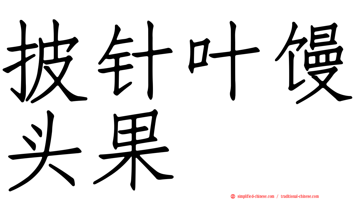 披针叶馒头果
