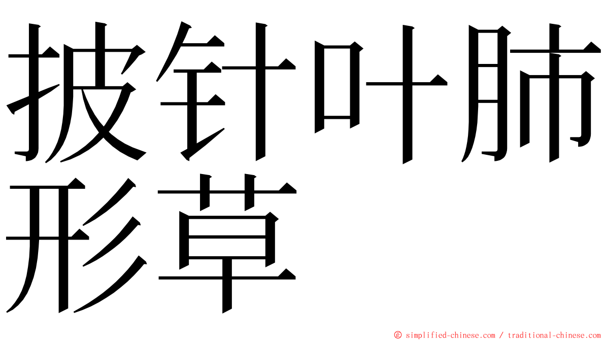 披针叶肺形草 ming font