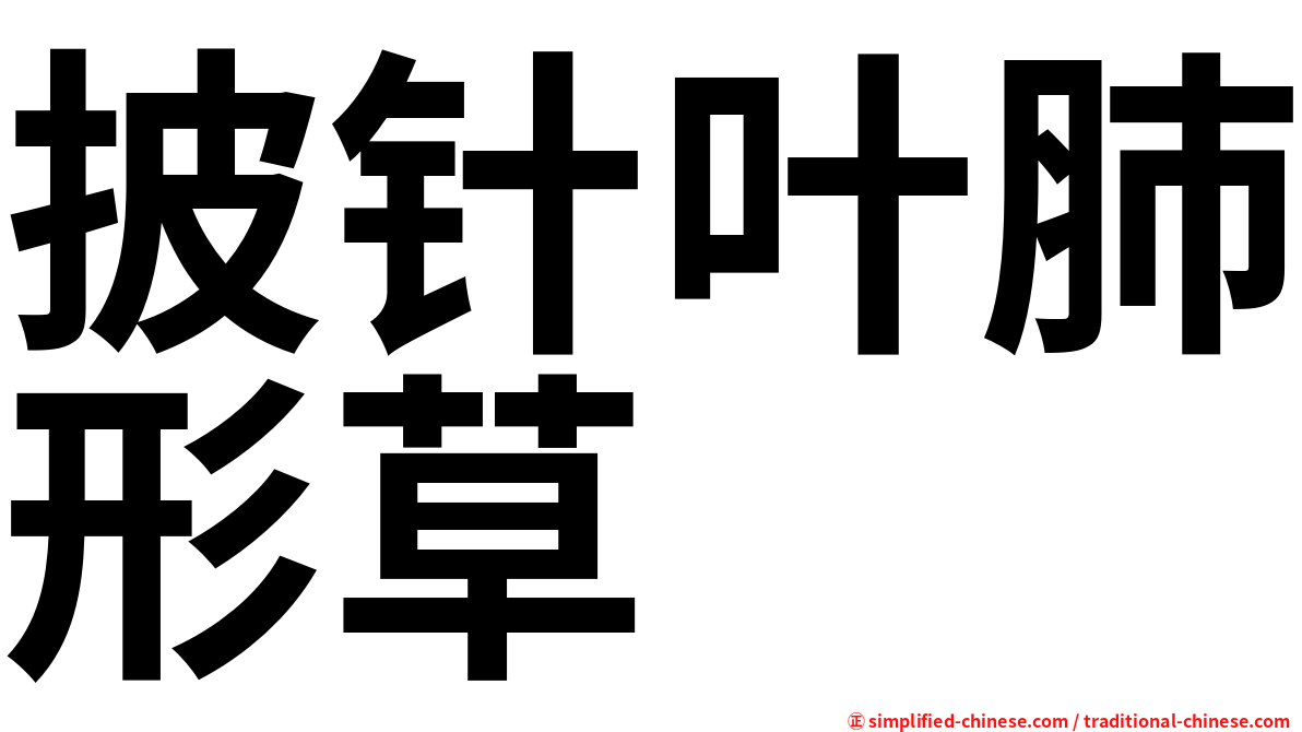 披针叶肺形草