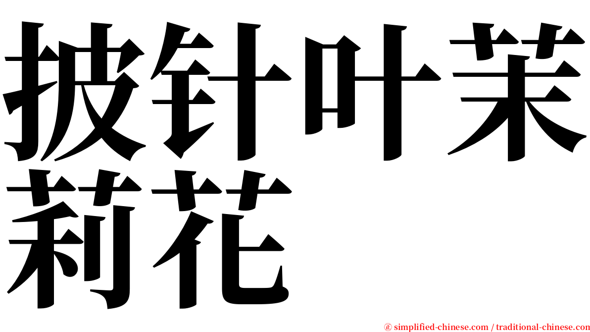 披针叶茉莉花 serif font