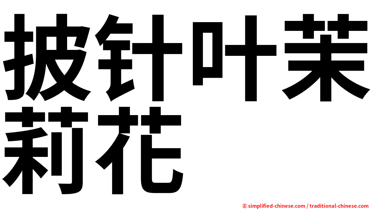 披针叶茉莉花