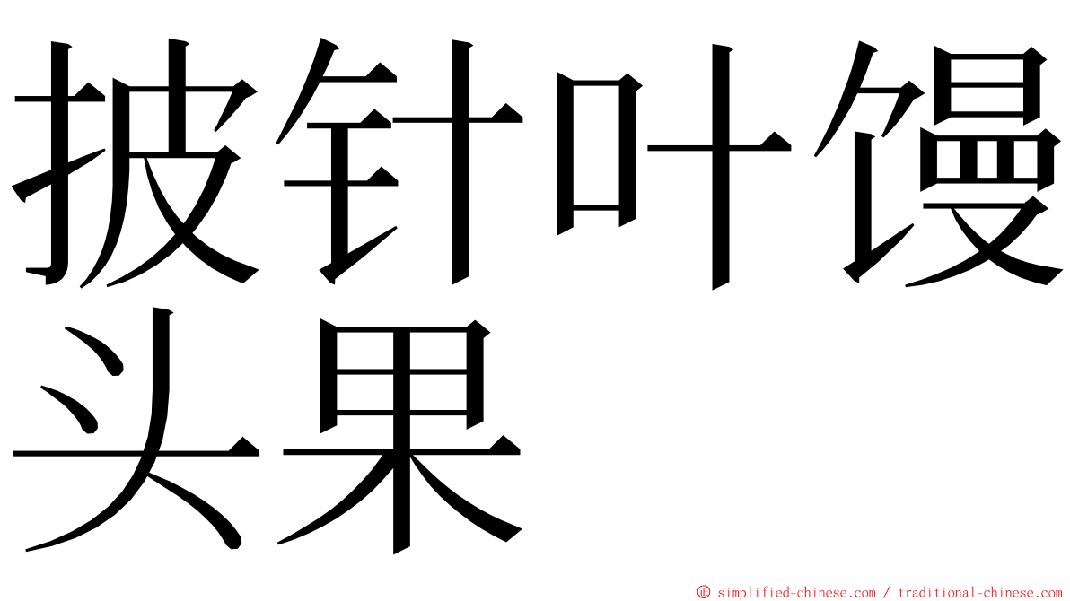 披针叶馒头果 ming font