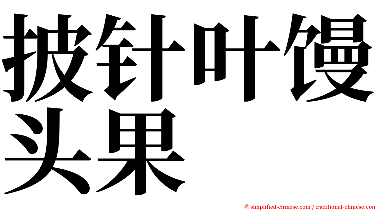 披针叶馒头果 serif font