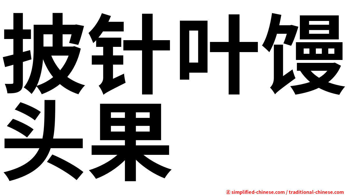 披针叶馒头果
