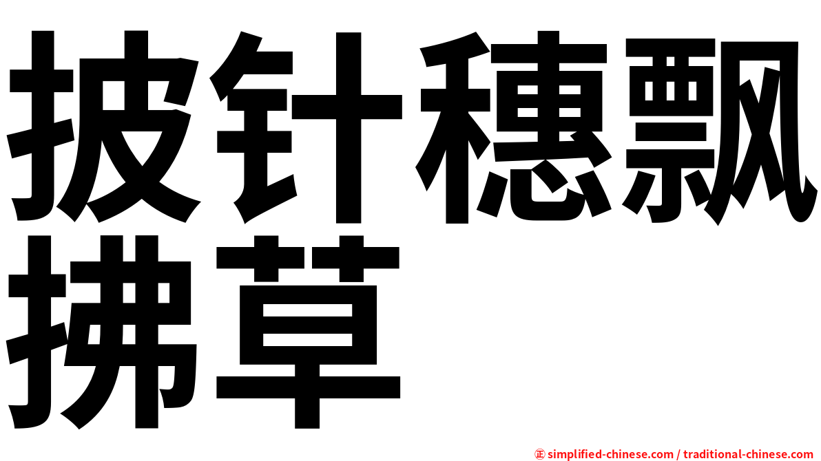 披针穗飘拂草