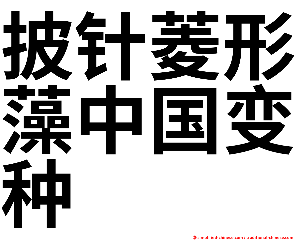 披针菱形藻中国变种