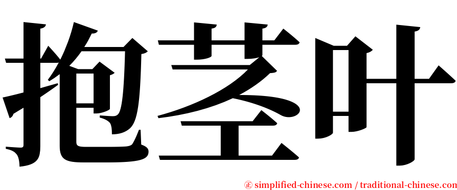 抱茎叶 serif font