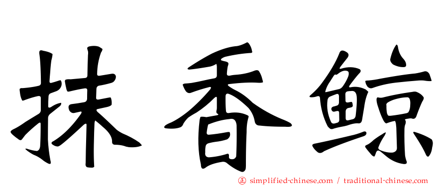 抹香鲸