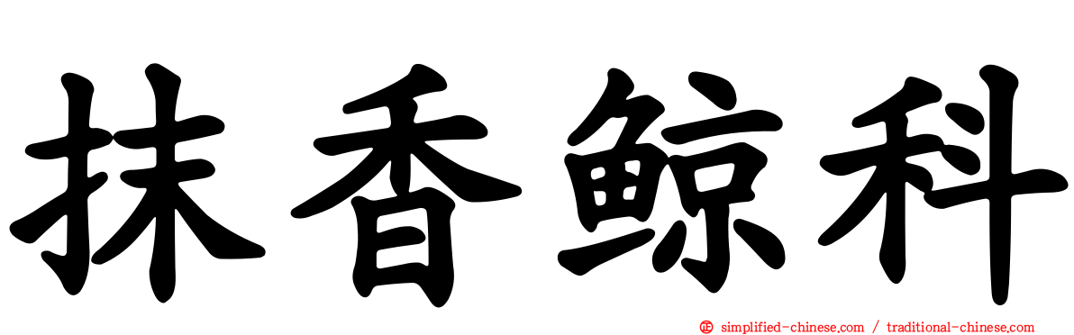 抹香鲸科