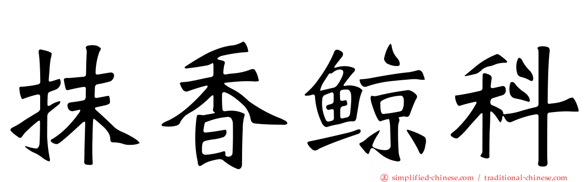 抹香鲸科