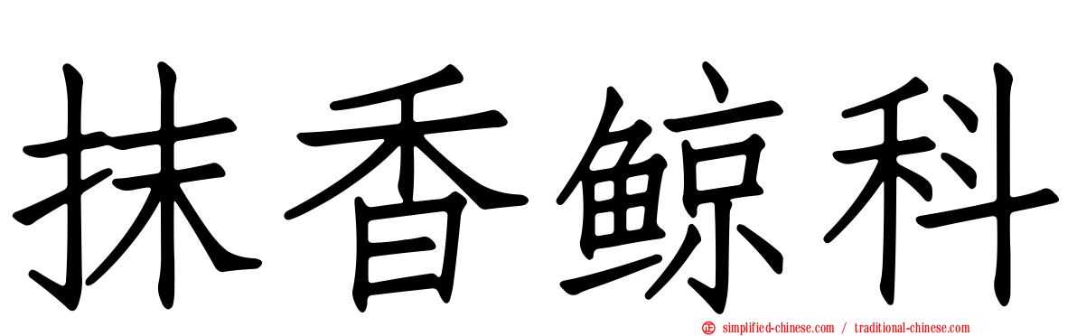抹香鲸科