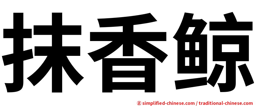 抹香鲸