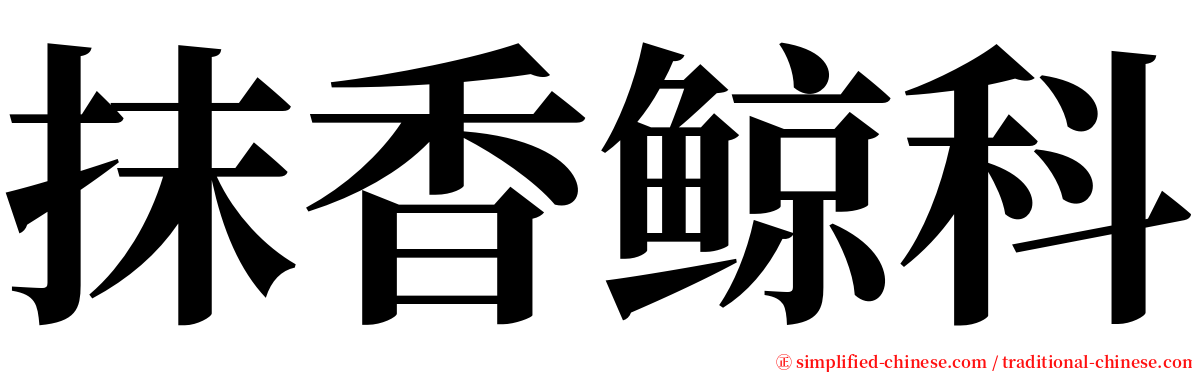 抹香鲸科 serif font