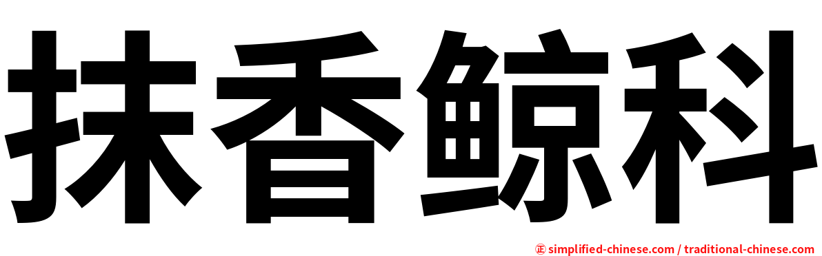 抹香鲸科