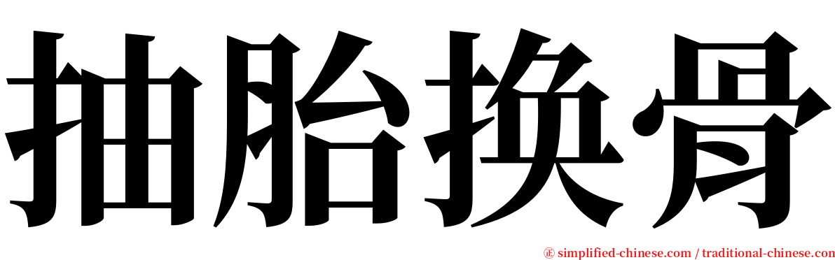 抽胎换骨 serif font